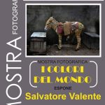 Salvatore Valente