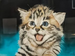 gattino