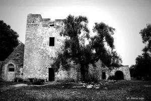 PIETRA STORICA OSTUNESE