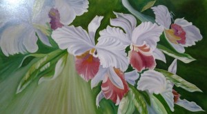 orchidee